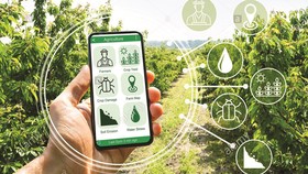 Hướng đến nông nghiệp số