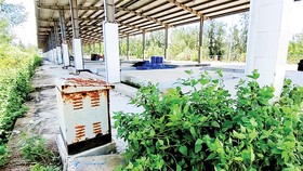 Một góc bến cá Tân Phụng đầu tư hơn 26 tỷ đồng trong cảnh đìu hiu, lãng phí