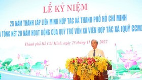 Phó Chủ tịch UBND TPHCM Ngô Minh Châu phát biểu tại buổi lễ. Ảnh: VGP