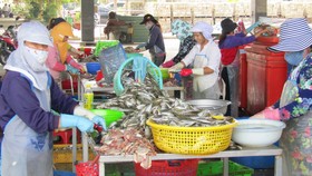 Sơ chế hải sản tại cảng cá Tân Phước, xã Phước Tỉnh, huyện Long Điền, tỉnh Bà Rịa - Vũng Tàu