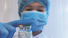 Xin cấp phép khẩn cấp cho vaccine Nanocovax