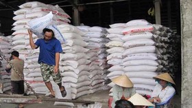 Gạo xuất khẩu của Việt Nam phải cạnh tranh với nhiều đối thủ.