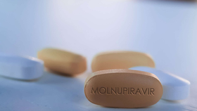 Khá nhiều lưu ý được đưa ra đối với bệnh nhân Covid-19 tham gia thí điểm điều trị bằng thuốc Molnupiravir. 