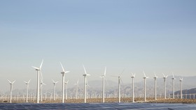 Covid-19 làm chậm sự tăng trưởng toàn cầu trong năng lượng tái tạo