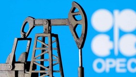 Giữa tuần này, chính quyền Tổng thống Biden đã kêu gọi OPEC+ tăng sản lượng khai thác để đối phó với tình trạng giá năng lượng leo thang.