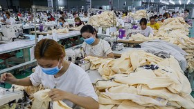 Workers at a garment factory in the southern province of Long An. Photo by VnExpress/Quynh Tran