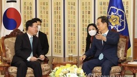 S. Korea seeks Vietnam's support for corporate participation in power plant projects