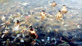 Cam kết làm sạch rác ở biển