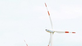 Điện gió tại Bình Thuận.   Ảnh: THÀNH TRÍ