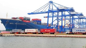 Tàu biển Việt Nam đảm nhận 100% vận tải nội địa container