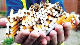 Triệt phá vụ buôn lậu thuốc lá lớn nhất châu Âu