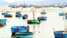 Những ngư dân chất phác, thủy chung nơi làng biển Mũi Rồng