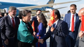 Đại diện cộng đồng người Việt Nam tại Thổ Nhĩ Kỳ đón Chủ tịch Quốc hội tại sân bay. Ảnh: Nhandan
