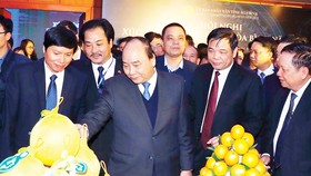 Thủ tướng Nguyễn Xuân Phúc thăm các gian trưng bày đặc sản của tỉnh Hòa Bình. Ảnh: TTXVN