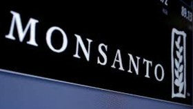 Pháp hủy giấy phép lưu hành thuốc diệt cỏ Monsanto