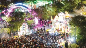 Đông đảo người dân và du khách tham quan Đường hoa Tết Kỷ Hợi 2019 ngay sau lễ khai mạc