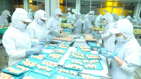 Chế biến thực phẩm ở doanh nghiệp Hàn Quốc tại TPHCM. Ảnh: CAO THĂNG