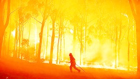 Cháy rừng tại bang New South Wales
