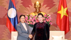 Chủ tịch Quốc hội Nguyễn Thị Kim Ngân hội kiến Chủ tịch Quốc hội Lào Pany Yathotou. Ảnh: TTXVN