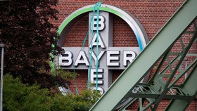 Logo của Bayer AG  bên ngoài một nhà máy của nhà sản xuất dược phẩm và hóa chất Đức, ngày 9 tháng 8 năm 2019. Ảnh: REUTERS 