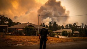Khói cháy rừng gây ô nhiễm tại Australia. Ảnh: Bloomberg