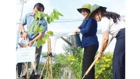Phó Bí thư Thành ủy TPHCM Võ Thị Dung (giữa) trồng cây tại lễ phát động. Ảnh: THÁI PHƯƠNG