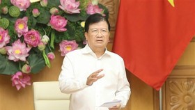 Phó Thủ tướng Trịnh Đình Dũng phát biểu. Ảnh: Doãn Tấn/TTXVN