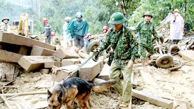 Bộ đội Biên phòng sử dụng  chó nghiệp vụ tìm kiếm nạn nhân ở hiện trường sạt lở thôn 1,  xã Trà Leng, huyện Nam Trà My, tỉnh Quảng Nam Ảnh: NGUYỄN CƯỜNG