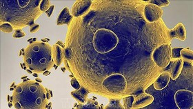 Nhật Bản phát hiện thêm biến thể mới của virus SARS-CoV-2