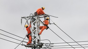 Kiến nghị giảm nhập điện