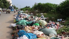 Vứt rác bừa bãi tại 1 Khu công nghiệp ở quận Tân Phú, TPHCM