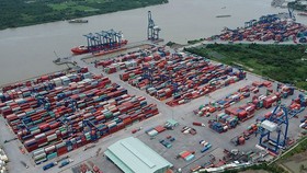 Số container tồn tại Tân Cảng Cát Lái giảm 15%