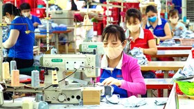 Doanh nghiệp mong lãi suất giảm hơn nữa để nhanh chóng phục hồi kinh tế. Sản xuất tại công ty dệt may Nguyên Dung, quận 12. Ảnh: HOÀNG HÙNG