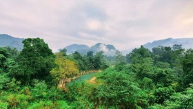 Việt Nam là một trong 16 quốc gia sở hữu sự đa dạng sinh học cao nhất thế giới