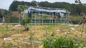 Người dân tự nguyện tháo dỡ một phần nhà kính dọc tuyến đường đèo Mimosa, phường 10, TP Đà Lạt