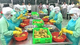 EU hỗ trợ Việt Nam xuất khẩu rau quả và gia vị