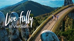 Ra mắt chuyên trang “Live Fully in Vietnam” quảng bá du lịch Việt Nam tới du khách quốc tế. (Ảnh chụp màn hình)