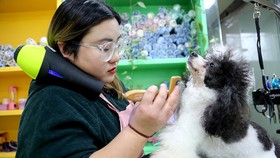 Dịch vụ chăm sóc thú cưng ở Liên Vân Cảng, tỉnh Giang Tô. Ảnh: China Daily