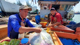 Ngư dân thị xã Hoài Nhơn, tỉnh Bình Định chuẩn bị rau xanh, thực phẩm vươn khơi đánh bắt hải sản. Ảnh: NGỌC OAI