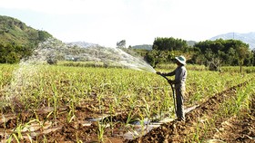 Năm 2030, tổng nhu cầu nước vào mùa khô tăng 32%