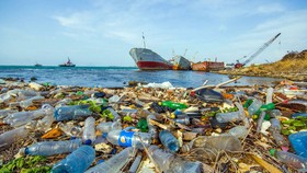 Chung tay giảm thiểu rác thải nhựa ra đại dương