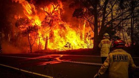 Những đám cháy rừng xảy ra tại miền Đông Australia