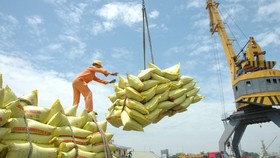 Chính phủ yêu cầu triển khai có hiệu quả Đề án thương hiệu gạo Việt Nam và Chiến lược phát triển thị trường xuất khẩu gạo (Ảnh minh họa)
