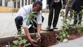 Thủ tướng Ethiopia Abiy Ahmet tham gia trồng cây xanh cùng người dân. Ảnh: The Guardian