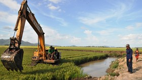 Cần giảm đê bao ngăn lũ để sản xuất lúa vụ 3 (thu đông) ở ĐBSCL, nhằm tích trữ nước lũ