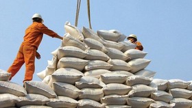 Gỡ khó trong thu mua lúa gạo tạm trữ