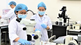 Sinh viên Trường ĐH Quốc tế (ĐH Quốc gia TPHCM) trong giờ học thực hành tại phòng thí nghiệm