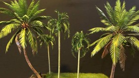 Vườn dừa mini do anh Lê Mỹ Dặm chế tác