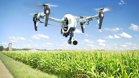 Australia có thế mạnh về áp dụng AI trong canh tác nông nghiệp