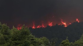 Bồ Đào Nha ban bố tình trạng khẩn cấp do cháy rừng
